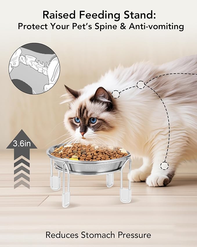 Elevated cat Bowl 2PC, 6.3" Wide Raised Cat Bowl | Stainless Steel Cat Food and Water Dishes, Small Dog Bowl, Whisker Friendly, Anti-Vomiting, Neck Stress-Free Bowl Stands