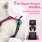rabbitgoo Dog Harness, No Pull for Small Dogs with 2 Leash Clips, Pet Vest | No Choke with Handle, Adjustable Soft Padded, Reflective, Easy Control for Walking, Black & Hot Pink, X-Small