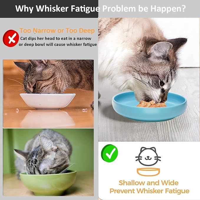 Ceramic Cat Bowls,Shallow Cat Dishes for Food and Water, 6 inch Matte Finish Wide Cat Food Bowl,Whisker Fatigue Free Pet Puppy Kitten Bowl Set of 3,Dishwasher Safe