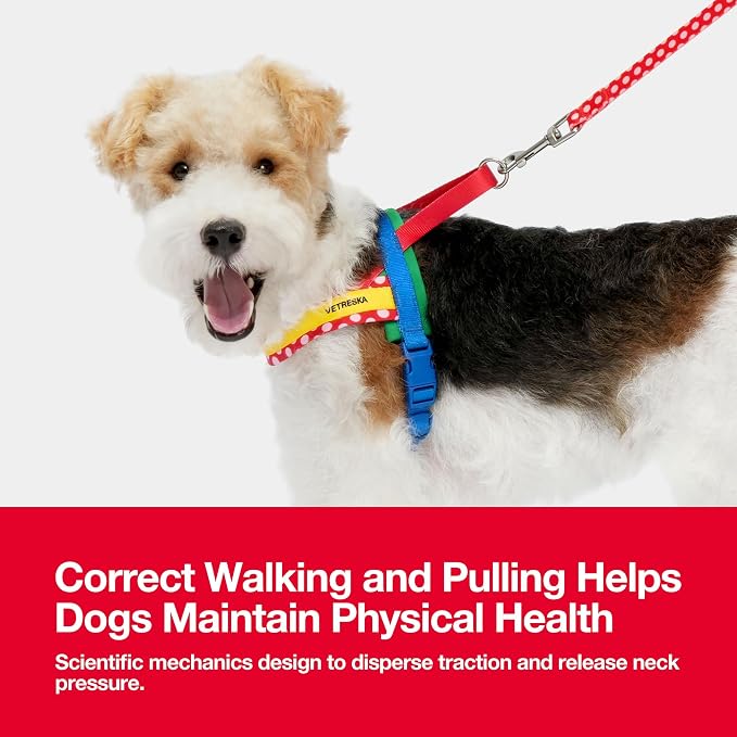 VETRESKA MoMA Dog Harness and Leash Set, Easy Walk Dog Harness (Red, XS) | for Small Medium Dogs, No Pull Puppy Harness for Walking and Training, Adjustable, Take Control & Anti-Twist Pet Lead Combo