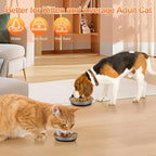 4 Pcs Stainless Steel Cat Bowls for Cats, Kittens & Small Dogs | Shallow Wide Food Water Bowl, Non-Slip Silicone Base, Dishwasher Safe, Suitable for Indoor & Outdoor Use