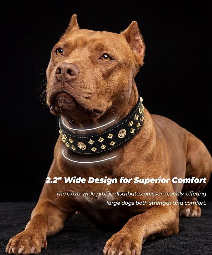 Genuine Leather Dog Collar 2.2 in Wide for Large Dogs Heavy Duty, BK-GD-M | Handcrafted,Stainless Steel Buckle and Alloy Studded,Soft Padded,Fashionable Daily Wear for Large Giant Breed,19.5-23.5 in