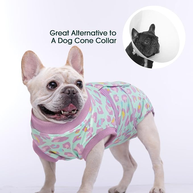 Kuoser Dog Recovery Suit After Surgery, Spay Neuter Surgical Suit for Dogs | Post Surgery Anti-Licking Dog Onesie Protects Wounds and Incisions, E-Collar & Cone Alternative Bodysuit for Female Male Dogs