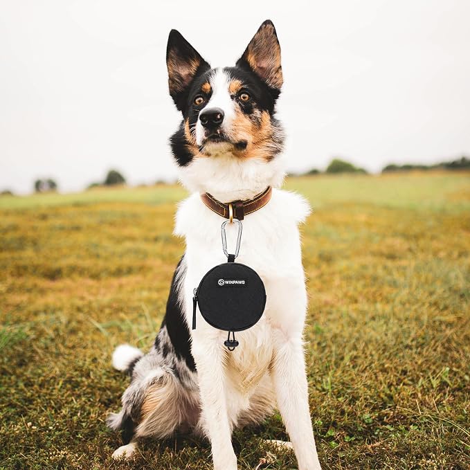 Dog Poop Bag Holder for Leashes- Dog Treat Pouch with Waterproof Zipper,Puppy Training Small Bag with Carabiner & Bungee Toggle,Two Pockets for Dry or Wet Treats-Pet Travel Walking Essentials (Black)