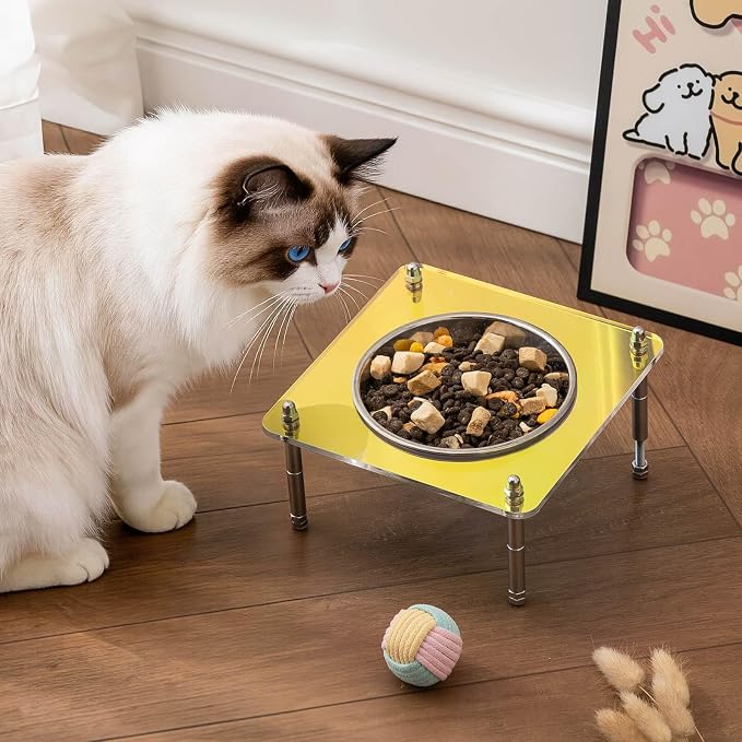 Elevated Cat Bowls with Food Mat Tilted 304 Stainless Steel Dishes for Cats | Whisker Friendly Shallow Dish, Tilted Design Anti-Vomiting, Durable Acrylic Base Feeder, Adjustable Raised Stands, Non-Slip