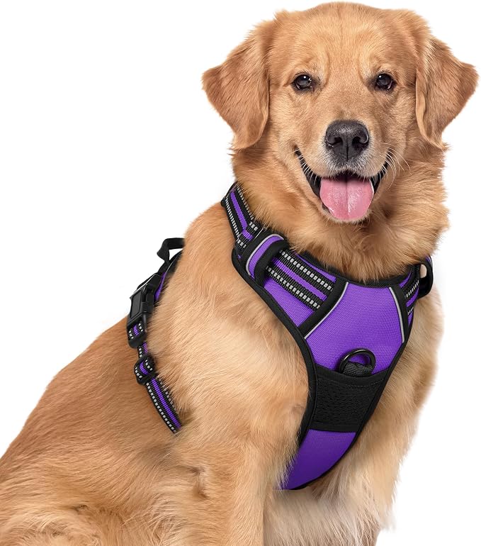 rabbitgoo Dog Harness, No Pull for Large Dogs with 2 Leash Clips, Pet Vest | No Choke with Handle, Adjustable Soft Padded, Reflective, Easy Control for Walking, Purple, X-Large