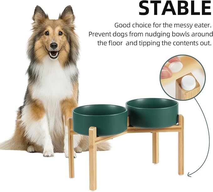 Havniva Dog Bowls Elevated, Ceramic Dog Food and Water Bowl Set | 8.3” Raised Dog Food Bowl, Elevated Dog Bowls with Bamboo Stand, Non-Slip Dog Water Bowl for Large Dog, Large Capacity