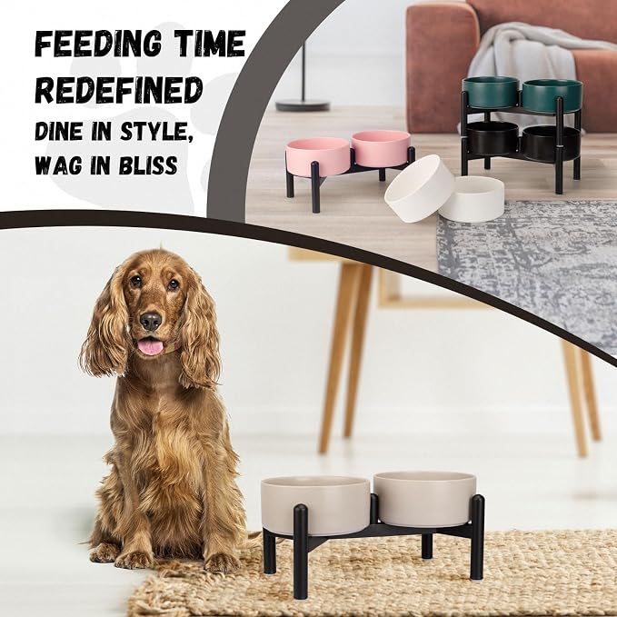 Raised Ceramic Dog Bowl Set with Stand, 3.5 Cups Elevated Dog Food Stand | 6.1'' Double Dog Food and Water Bowl Set, Non-Slip Dog Feeding Dishes for Small to Medium Breeds, 29.57 OZ, White