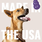 KONG Senior - Dog Toy with Gentle, Natural Rubber - Durable Dog Toy for Older Dogs - Use Treats with Stuffable Chew Toy - Treat Toy for Chewing & Fetching - for Medium Dogs (Pack of 2)