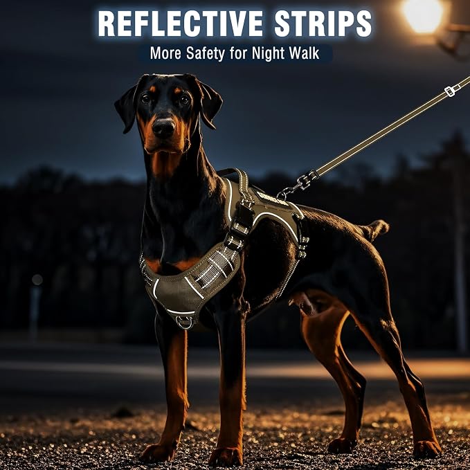 Tactical Service Dog Vest Harness and Leash Set with 10 Patches Brown L