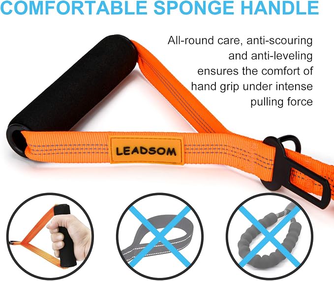 6FT Highly Reflective Heavy Duty Elastic Bungee Medium and Large Dog Leash Shock Absorbing with Comfortable Padded Handle and Traffic Handle Suitable for Training