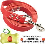 ADITYNA Red Leather Dog Leash for Large & Extra-Large Dogs, 6ft x 1" | Soft yet strong leather leash for walking, training, hiking — great for Great Dane, Rottweiler, Cane Corso, Mastiff.