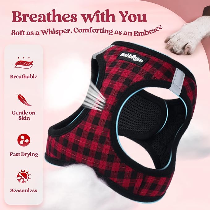 rabbitgoo Dog Harness Small Sized and Leash Set, Step-in Puppy Pet Vest | Light, Soft, Breathable Air Mesh, Easy on and Remove with Hook & Loop, Secure Reflective for Walking, Red Check XS