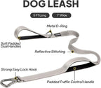 PetiFine 5FT Heavy Duty Dog Leash with Soft Padded Double Handle | Traffic Handle Extra Control,Auto Lock Hook,Reflective Nylon Walking Lead for Large,Medium,Small Breed Dogs