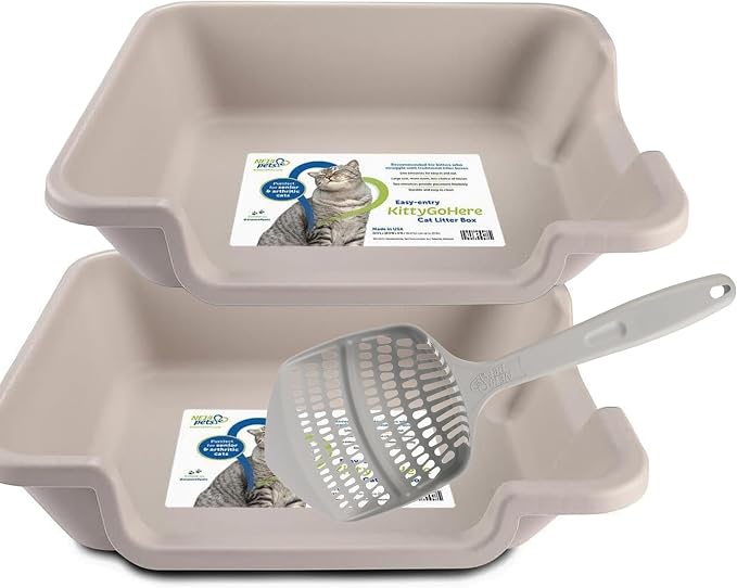 KittyGoHere 2.0 Easy Entry Cat Litter Box, 2 Pack Large Misty Gray | Large Open - Top Low Entrance Litter Pan With Higher Sides & Durable Long-handle Jumbo Scoop for Easy Cleaning, Made in USA