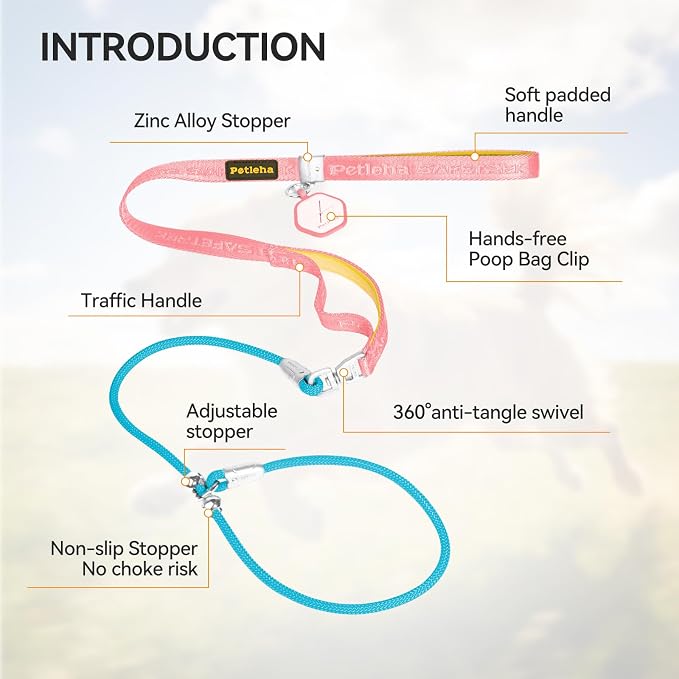 Dog Slip Leash with Double Padded Handles, Dog Training Lead to Stop Pulling,No-Pull Slip Leash and Collar Combo, Anti-Tangle,Traffic Control,Heavy Duty&Durable