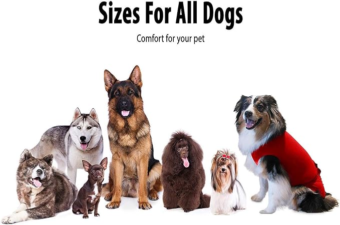 SurgiSnuggly Veterinary Invented Dog Surgical Recovery Suit for Female Spay or Male Dogs Neuters,Cone Alternative, Original Dog Onesie Bodysuit for After Surgery Small, Medium, Large Dogs LL R EC