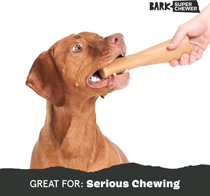 Barkbox Super Chewer Tough Dog Chew Toys for Aggressive Chewers, Dental Stimulating (PB Bone - Large) | Durable Dog Toy for Aggressive Chewers - Peanut Butter Scented Chew