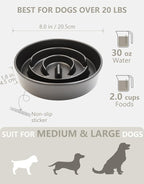 Ceramic Slow Feeder Dog Bowls, 2.0 Cups Slow Feeder for Medium Dogs, Puzzle Maze Bowl to Slow Down Eating, 30oz, 8in, Black