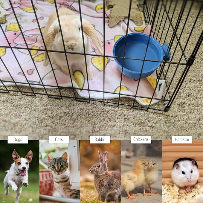 Indoor Pet Small Heated Water Bowl, Cat Thermal Bowl in Winter, 600ML Hanging Heated Water Bowl for Rabbit Cage Dog Crate, Indoor USB Portable Warm Dish for Dogs Cats Rabbits Birds, Blue
