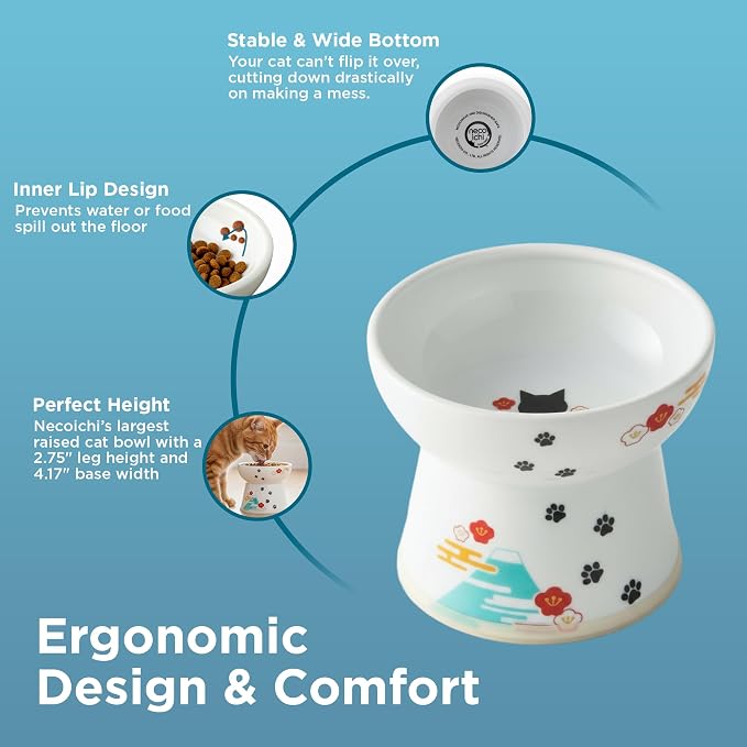 Necoichi Ceramic Raised Cat Food Bowl, Whisker-Friendly (Fuji, Large Flat)