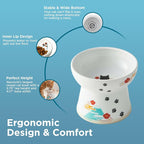 Necoichi Ceramic Raised Cat Food Bowl, Whisker-Friendly (Fuji, Large Flat)