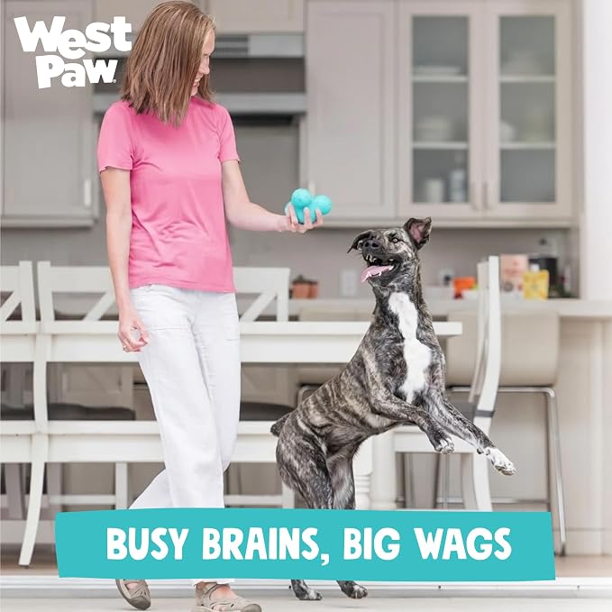 WEST PAW Zogoflex Tux Treat Dispensing Dog Chew Toy – Interactive Chewing Toy for Dogs – Dog Games for Aggressive Chewers, Fetch, Catch – Holds Kibble, Treats, Large 5", Teal