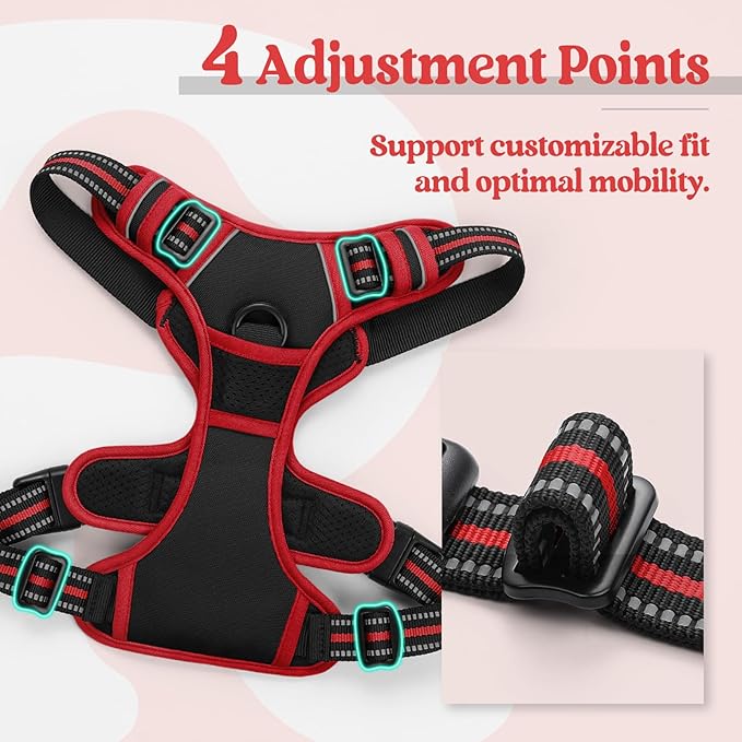 rabbitgoo Dog Harness, No Pull for Small Dogs with 2 Leash Clips, Pet Vest | No Choke with Handle, Adjustable Soft Padded, Reflective, Easy Control for Walking, Black & Red, Small