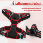 rabbitgoo Dog Harness, No Pull Medium Sized with 2 Leash Clips, Pet Vest | No Choke with Handle, Adjustable Soft Padded, Reflective, Easy Control for Walking, Black & Red, Medium