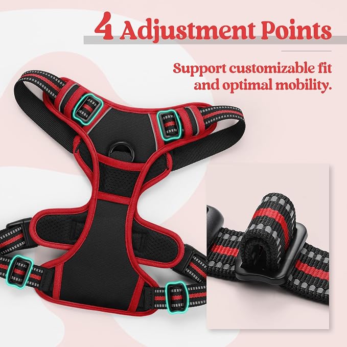 rabbitgoo Dog Harness, No Pull Medium Sized with 2 Leash Clips, Pet Vest | No Choke with Handle, Adjustable Soft Padded, Reflective, Easy Control for Walking, Black & Red, Medium
