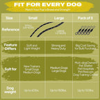 Fida Durable Slip Lead Dog Leash Bulk Pack of 5, Heavy Duty 1/2" x 6 FT Comfortable Strong Rope Slip Lead for Large, Medium & Small Dogs No Pulling Pet Training Leash with Highly Reflective (Black)