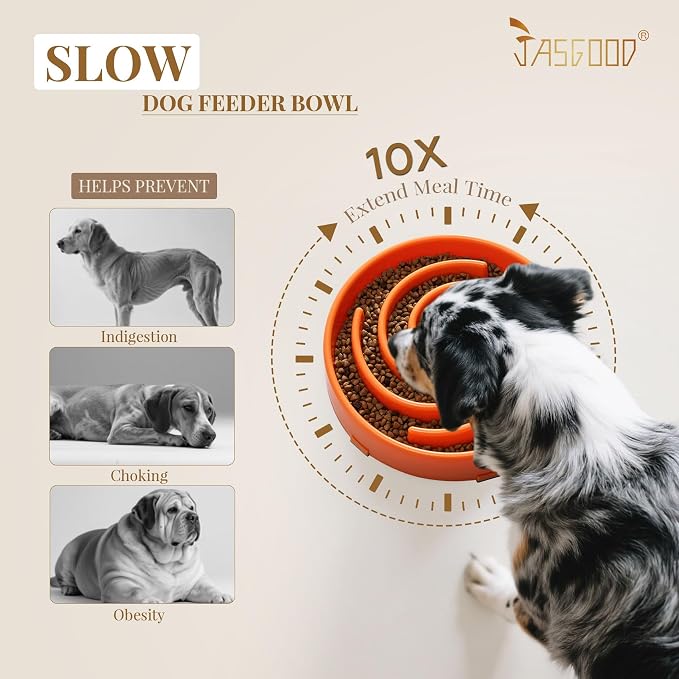 JASGOOD Slow Feeder Dog Bowl - Anti-Gulping, Prevents Bloat & Choking, Healthy Design for Large & Medium Dogs