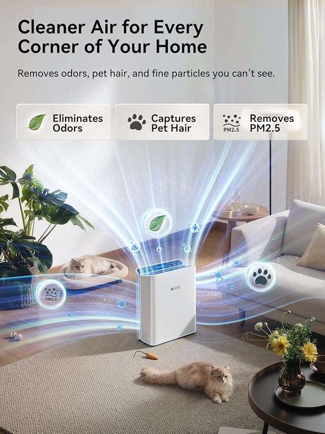 Afloia Air Purifier for Home, 2,000 Ft², PM2.5 Monitor, Washable Pre-Filter | Europa 2.0 White features Smart Auto Mode, a PM2.5 Air Quality Monitor, and a washable pre-filter for pet-friendly homes.