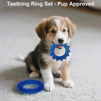 20 Pack Puppy Teething Chew Toys for Small Dogs, Bulk Dog Toys for Puppies | Mixed Blue Rubber Rings, Ropes & Balls, Puppy Teething & Dental Care, Relieves Puppy Boredom, Stops Destructive Chewing