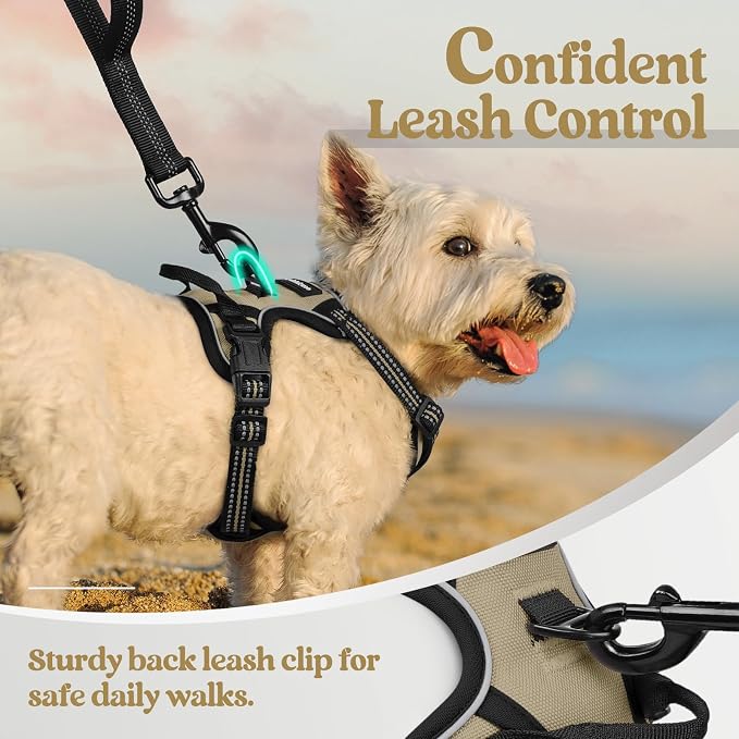 rabbitgoo Dog Harness No Pull with 2 Leash Clips, Adjustable Soft Padded, Reflective Oxford No Choke Pet Vest with Easy Control Handle for Puppy, Beige, XS | No Choke with Handle, Adjustable Soft Padded, Reflective, Easy Control for Walking, Beige, X-S...