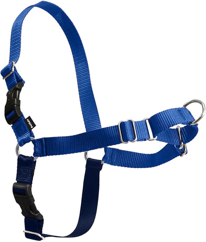 PetSafe Easy Walk Harness for Dogs - Pull-Free Walks - Patented Martingale Loop Design - Front Chest Leash Attachment - Comfort Straps - Breathable Harness Design - Small, Royal Blue/Navy Blue