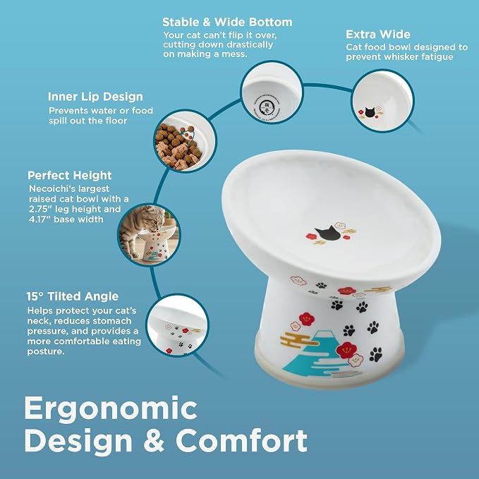 Necoichi Ceramic Elevated Cat Food Bowl, 15° Tilted (Fuji, Regular Tilted)