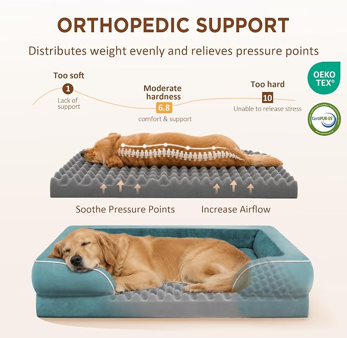 Comfort Expression Orthopedic Dog Bed for Extra Large Dogs with Bolster | Waterproof Dog Couch Bed with Washable Cover & Non-Slip Bottom, Supportive Egg Crate Foam XL Pet Bed, 45x35 Inch