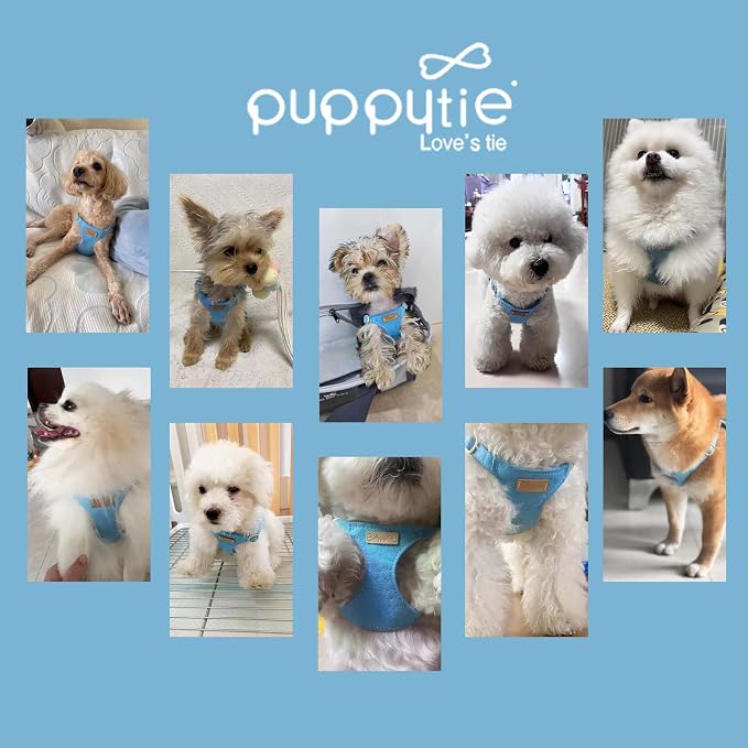 Puppytie Dog Harness and Leash Set, Ocean Blue, M (16.5-31 lbs) | Harness Small Size Dog, Dog Leash for Small Dogs, Soft Lightweight and Adjustable, Small Dog Harness for Daily Walks