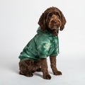 Spark Paws Dog Hoodie – Premium Dog Sweater for Small, Medium, and Large Dogs | Warm Outfits for French Bulldogs, Pitbull, Puppy, Winter Jacket Alternative - Green Skydye, 2XL