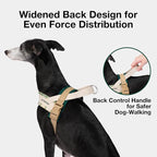 VETRESKA Dog Harness and Leash Set, Easy Walk Dog Harness, XS | for Small Medium Dogs, No Pull Puppy Harness for Walking and Training, Adjustable, Anti-Twist Leash (Santal Forest)