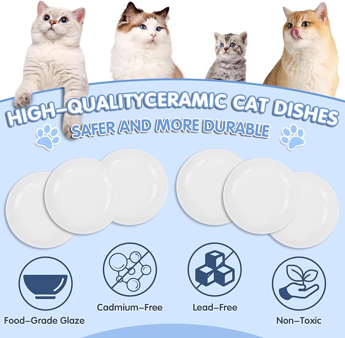6 Pack Cat Food Bowl, Ceramic Cat Bowls, Anti Whisker Fatigue Cats Bowl Set | 5.5 Inches Shallow Wide Kitten Plates for Food and Water (White-C)