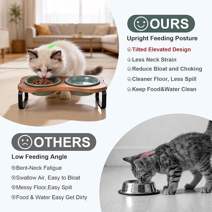 SPUNKYJUNKY Ceramic Elevated Tilted Dog Bowls Bone-Shaped Raised with 2 Height Iron Stand, 4.9'' Dog and Cat Food Water Bowls Set Non-Slip for Puppy Kitten Small Sized Breed - 7 OZ,Dark Green