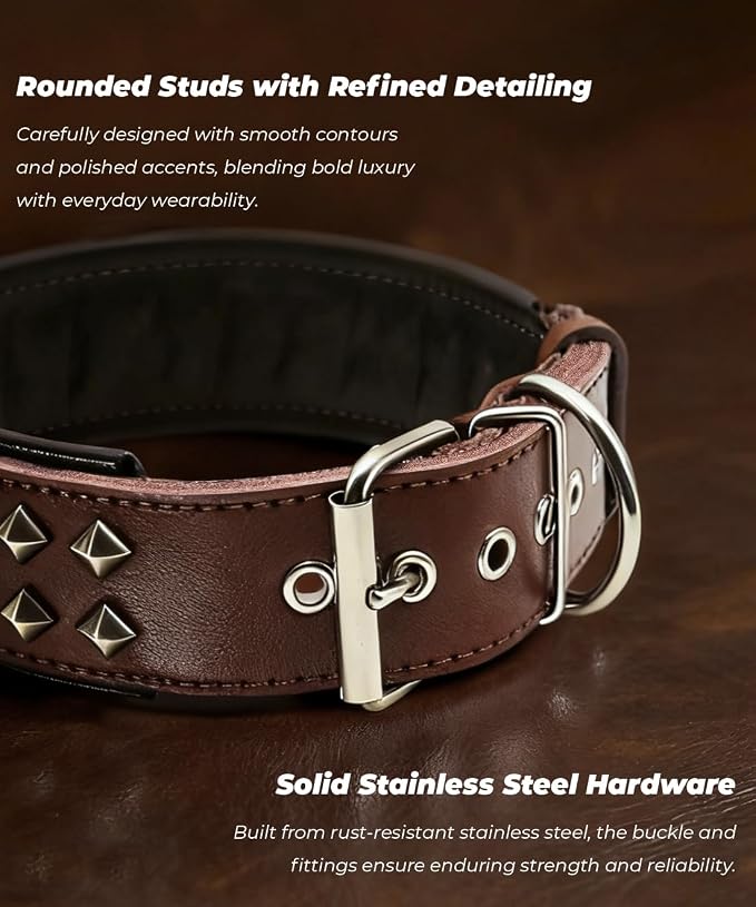 Genuine Leather Dog Collar 2.2 in Wide for Large Dogs Heavy Duty, BN-SL-M | Handcrafted,Stainless Steel Buckle and Alloy Studded,Soft Padded,Fashionable Daily Wear for Large Giant Breed,19.5-23.5 in