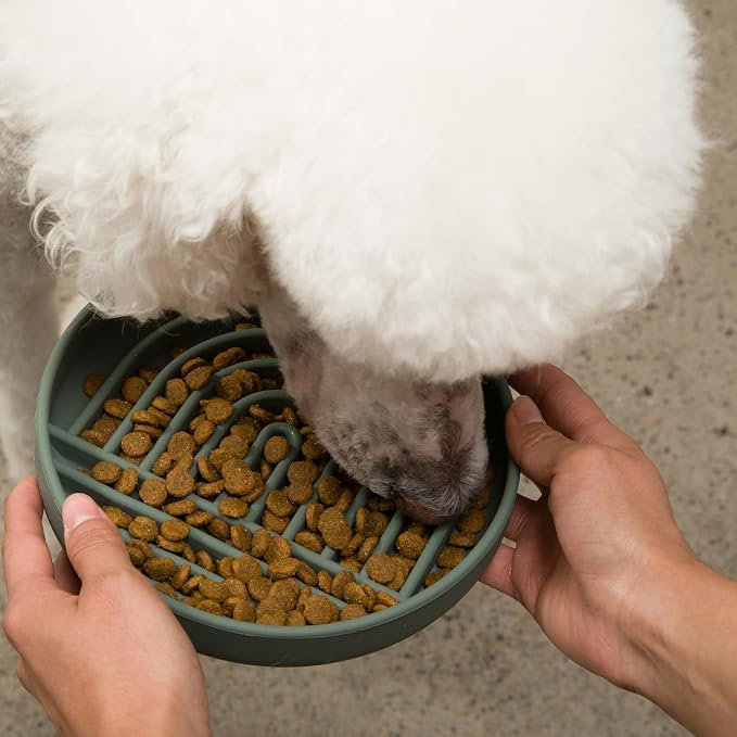 Slow Feeder Dog Bowls - Medium Size Silicone Slow Eating Dog Bowl for Puppies & Dogs with Suction Cup -Dishwasher-Safe, Lick Mat Design, Reduces Gulping,for All Breeds,7.5”x1.5”- Spruce