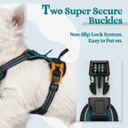 rabbitgoo Dog Harness, No Pull for Small Dogs with 2 Leash Clips, Pet Vest | No Choke, Adjustable, Breathable Padded, 2 Lead Rings, Reflective, Easy Control for Walking Training, XS, Blue Coral