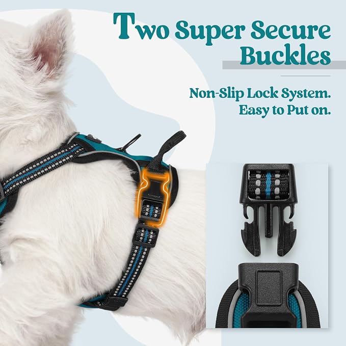 rabbitgoo Dog Harness, No Pull for Small Dogs with 2 Leash Clips, Pet Vest | No Choke, Adjustable, Breathable Padded, 2 Lead Rings, Reflective, Easy Control for Walking Training, XS, Blue Coral
