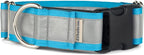 If It Barks - 1.5" Reflective Martingale Collar with Quick Snap Buckle for Dogs - Adjustable - Made in USA - Strong, Durable, and Comfy - Ideal for Training - Fits Most Breeds - Small, Turquoise