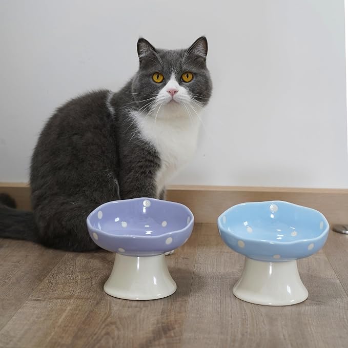 Blue Mushroom Cat Bowl, Elevated Ceramic Bowl for Cats | Cute Mushroom Design, Elevated, Ceramic, Whisker Friendly, Anti Vomiting