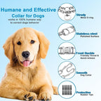 Prong Collar for Dogs, Dog Training Collar for Small Medium Large Dogs | Pinch Collar, Adjustable Size, No Pull, Quick Release Buckle, Hook 360° Swivel, High Quality, 2 Extra Link and 20 Rubber Cap